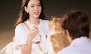 妻子的浪漫旅行每集的嘉宾 妻子的浪漫旅行第二季