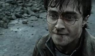 哈利波特与伏地魔对决时用的咒语 能夺走对手魔杖的咒语