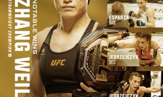 ufc终极格斗冠军赛